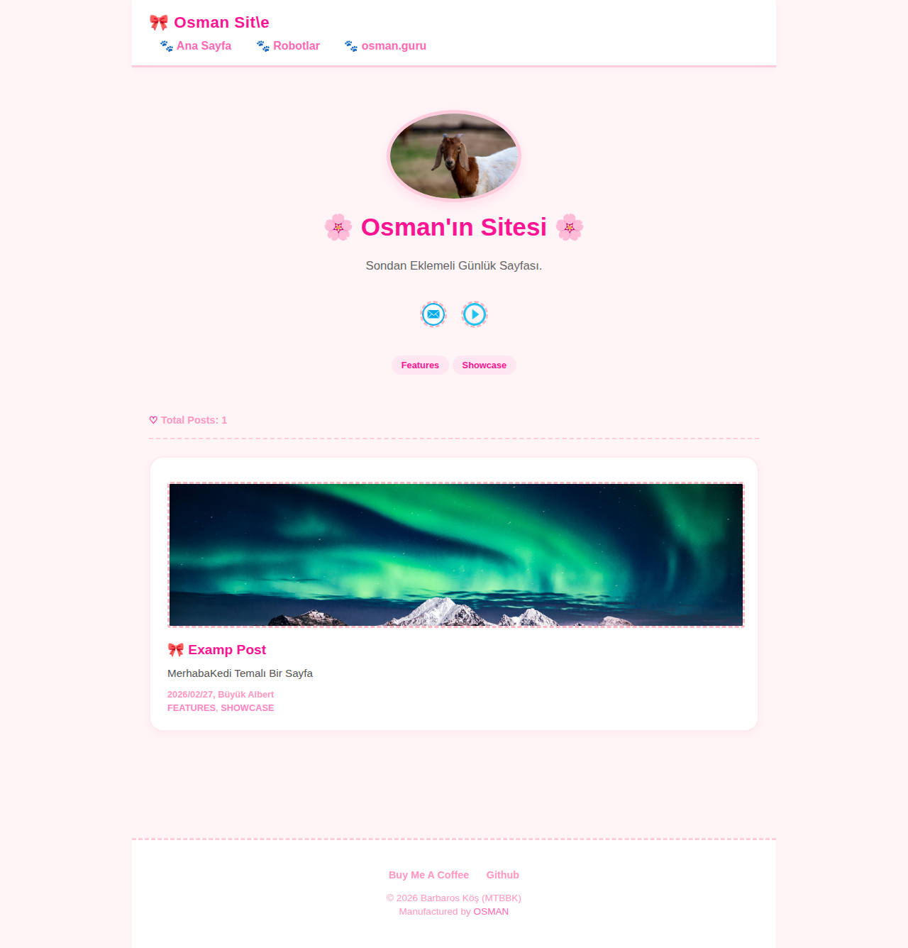 Index Page - blog MerhabaKedi