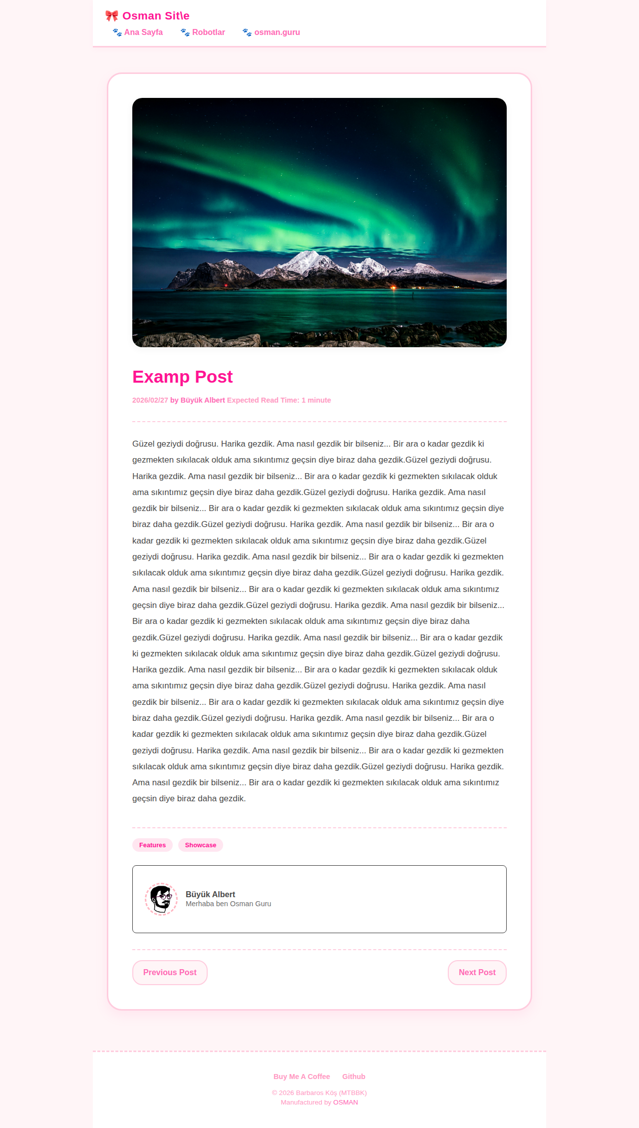 Post Page - blog MerhabaKedi