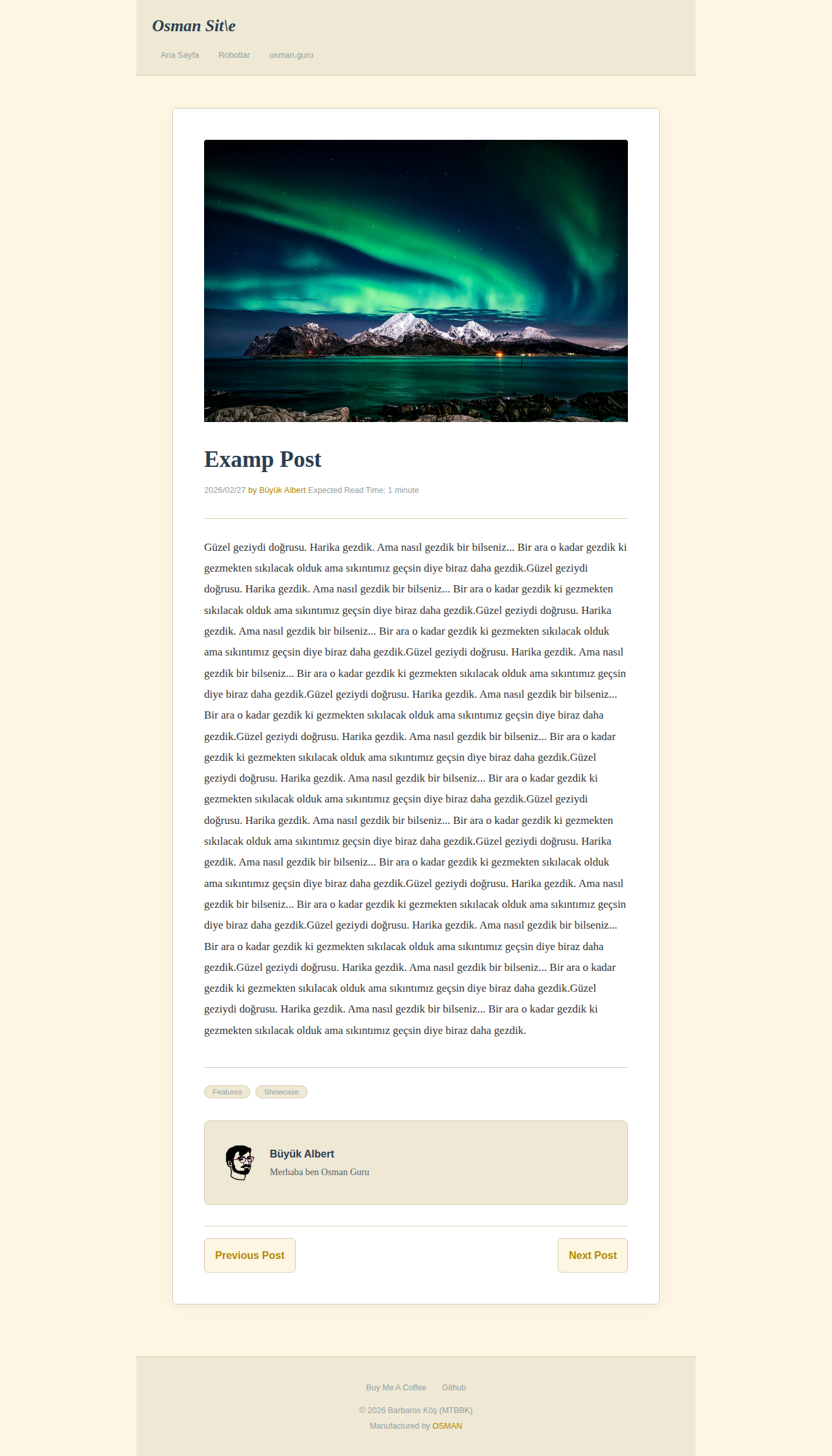 Post Page - blog OldSchool