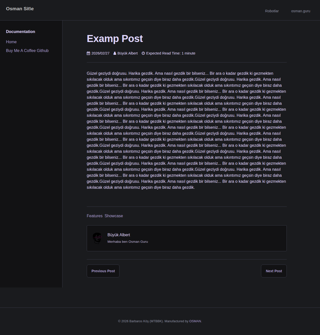 Post Page - docs SilverLilac