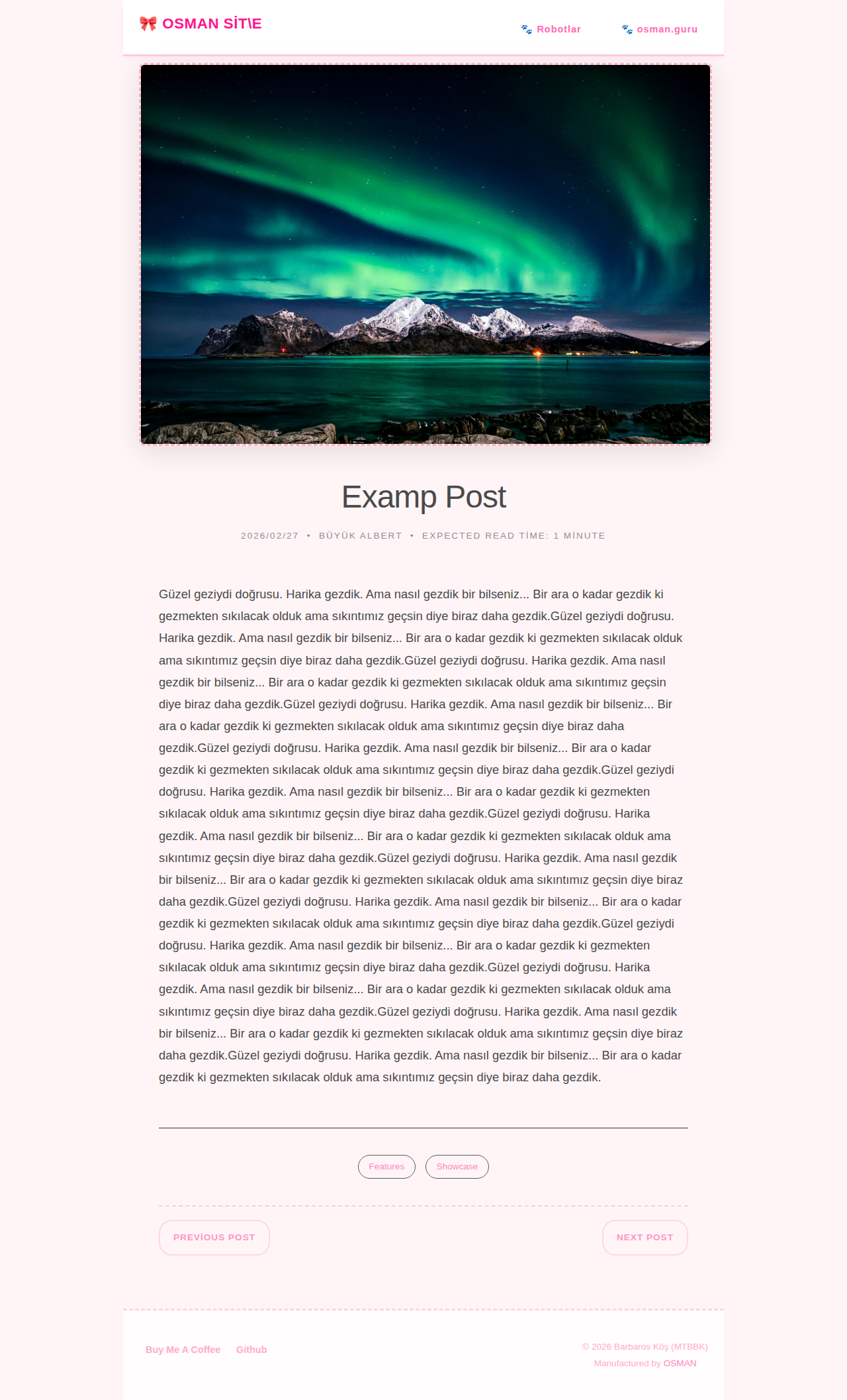 Post Page - gallery MerhabaKedi