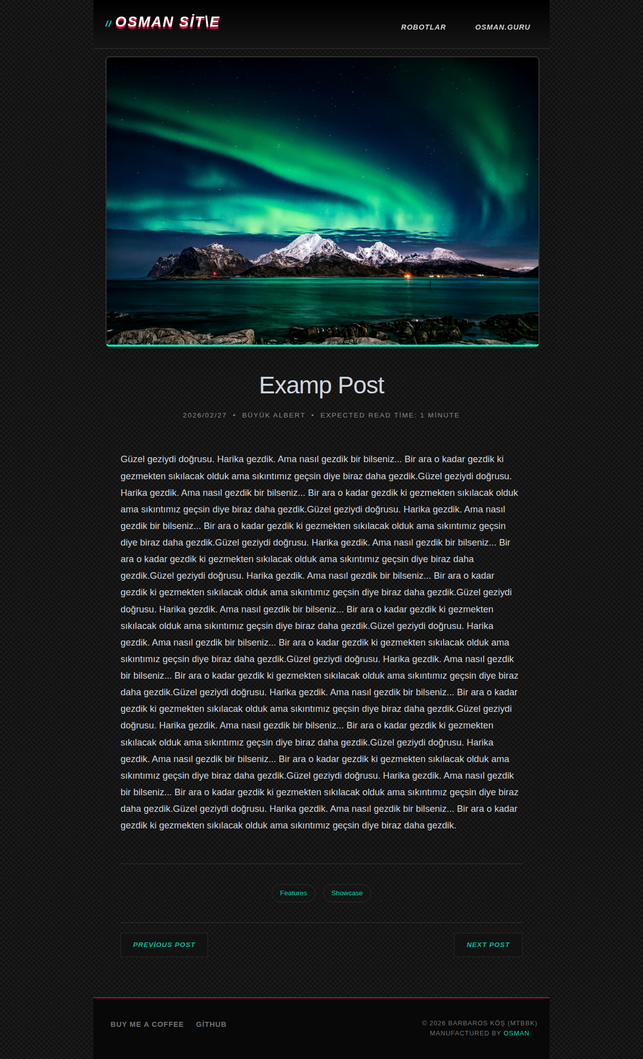 Post Page - gallery Neon