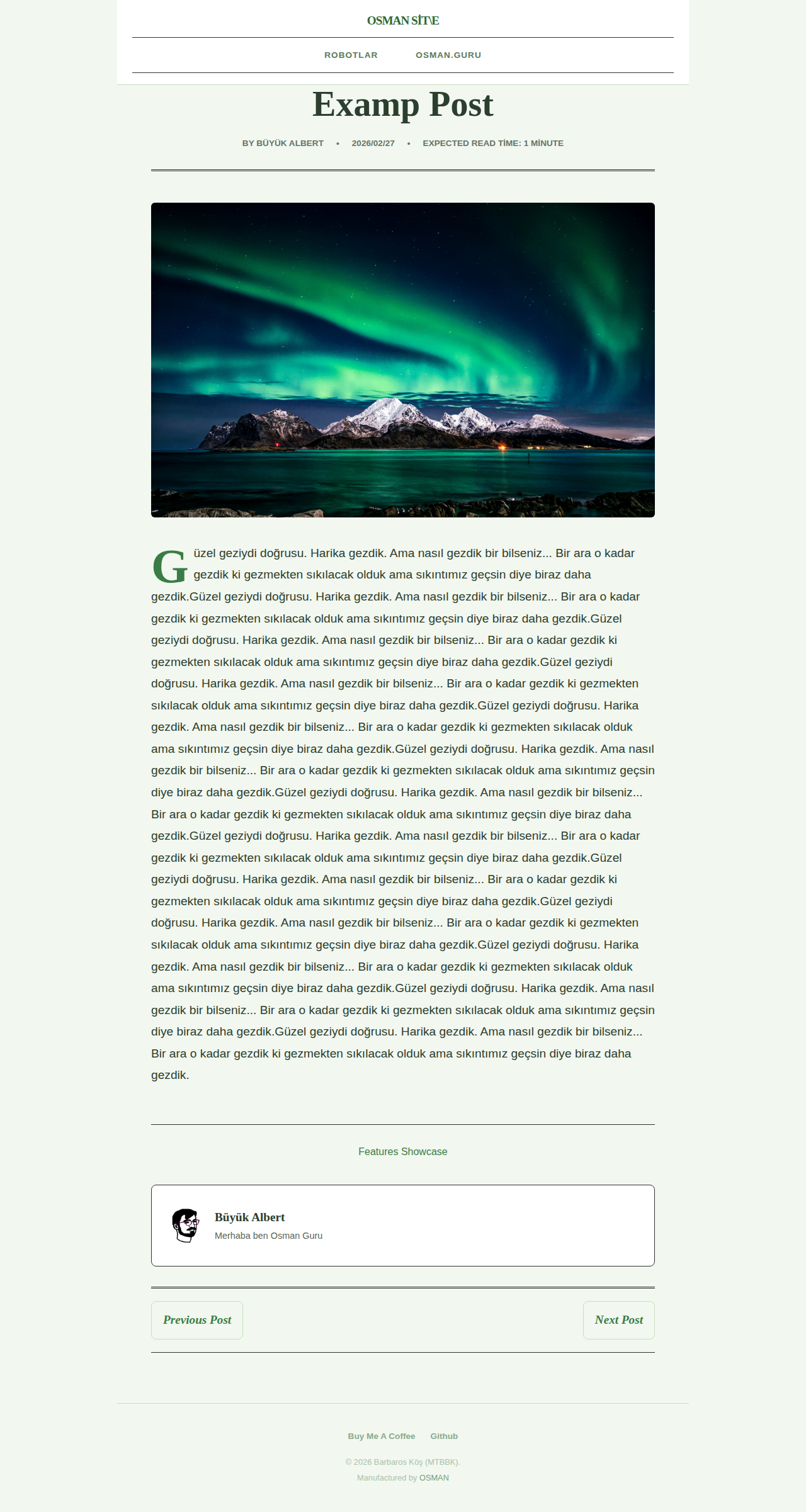 Post Page - magazine Forest