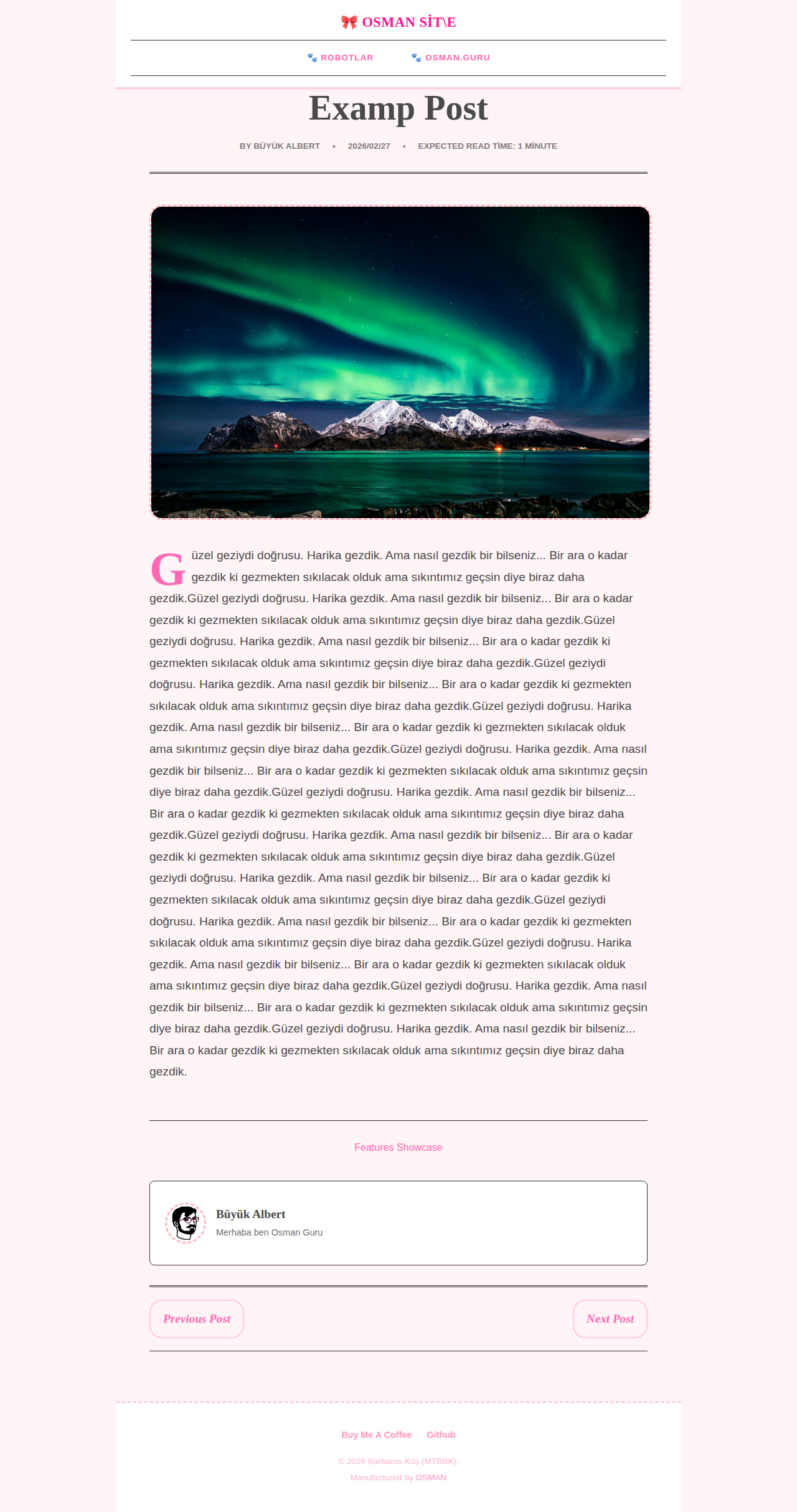 Post Page - magazine MerhabaKedi
