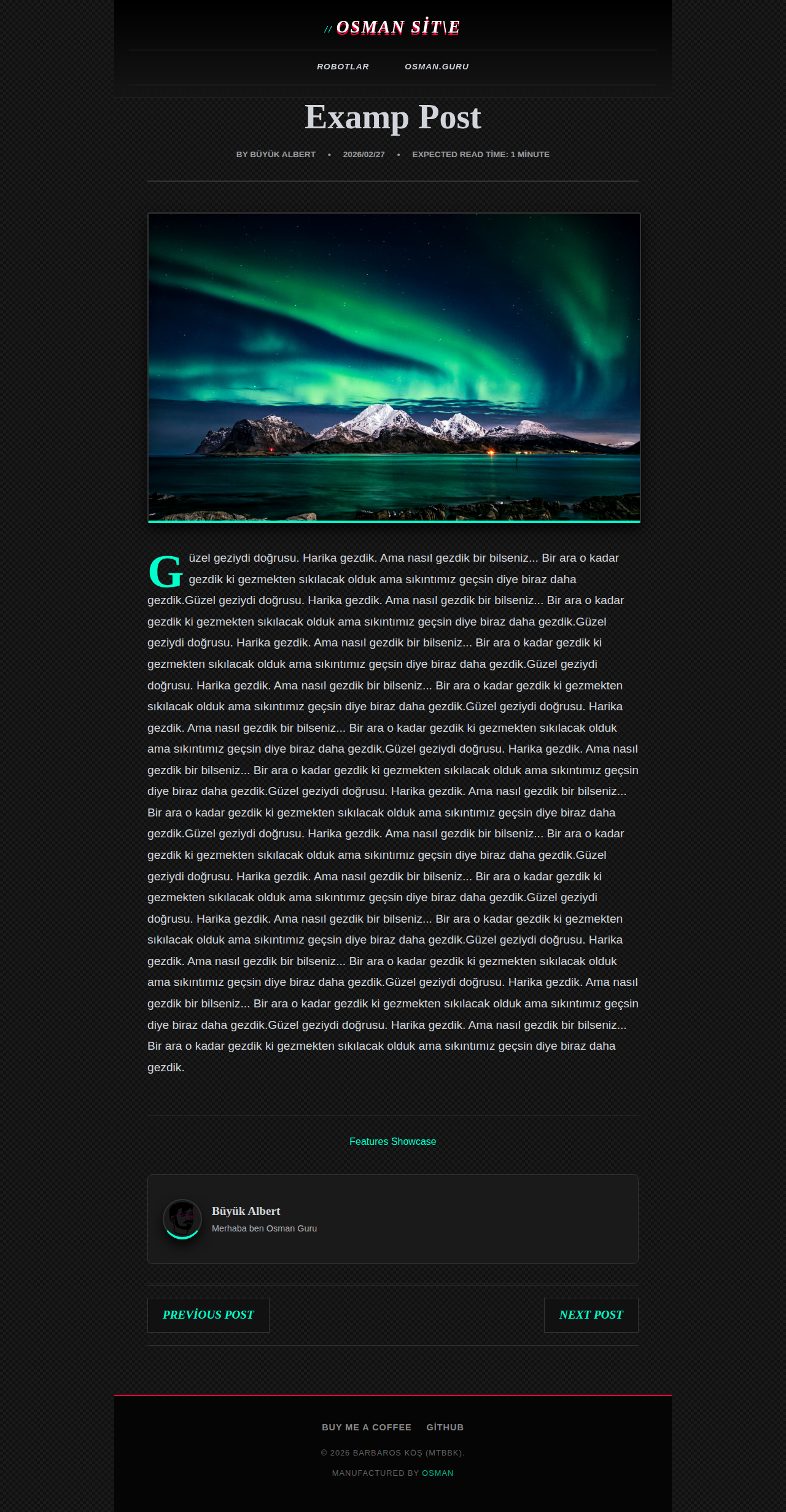 Post Page - magazine Neon