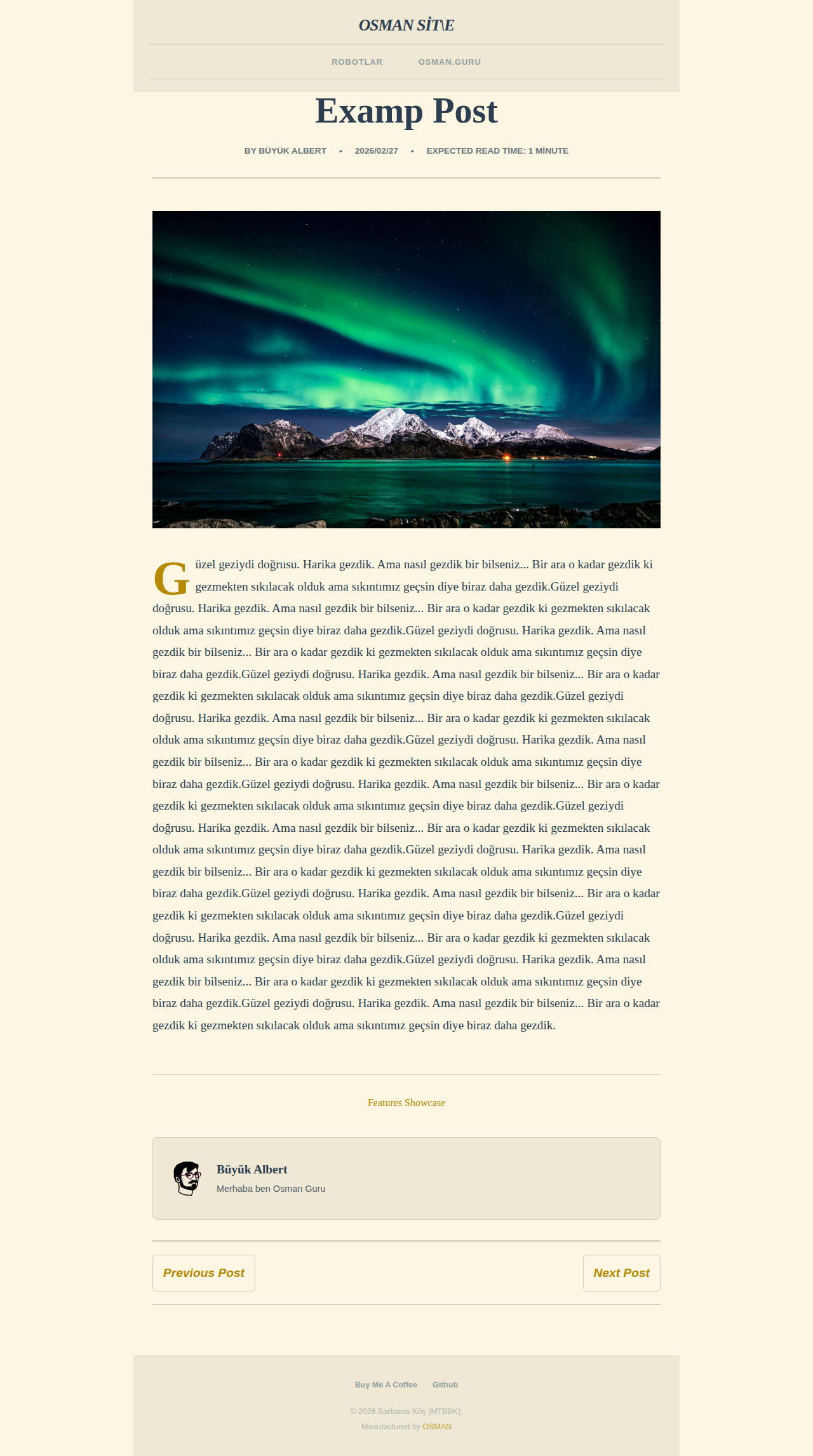 Post Page - magazine OldSchool