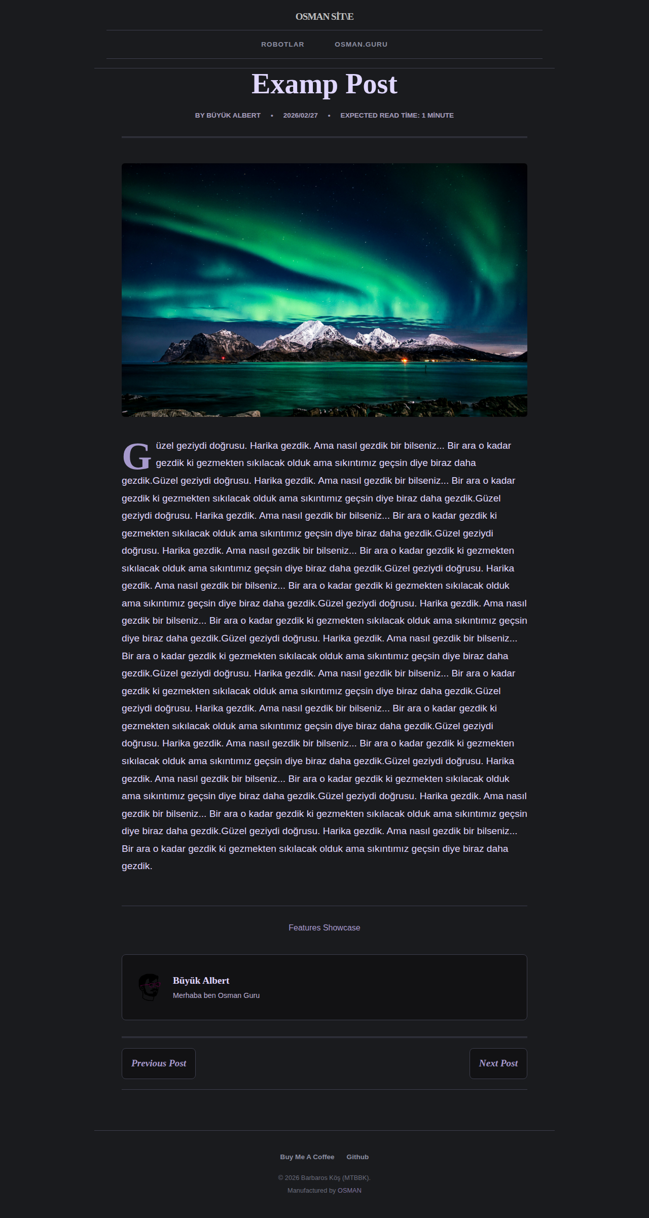 Post Page - magazine SilverLilac