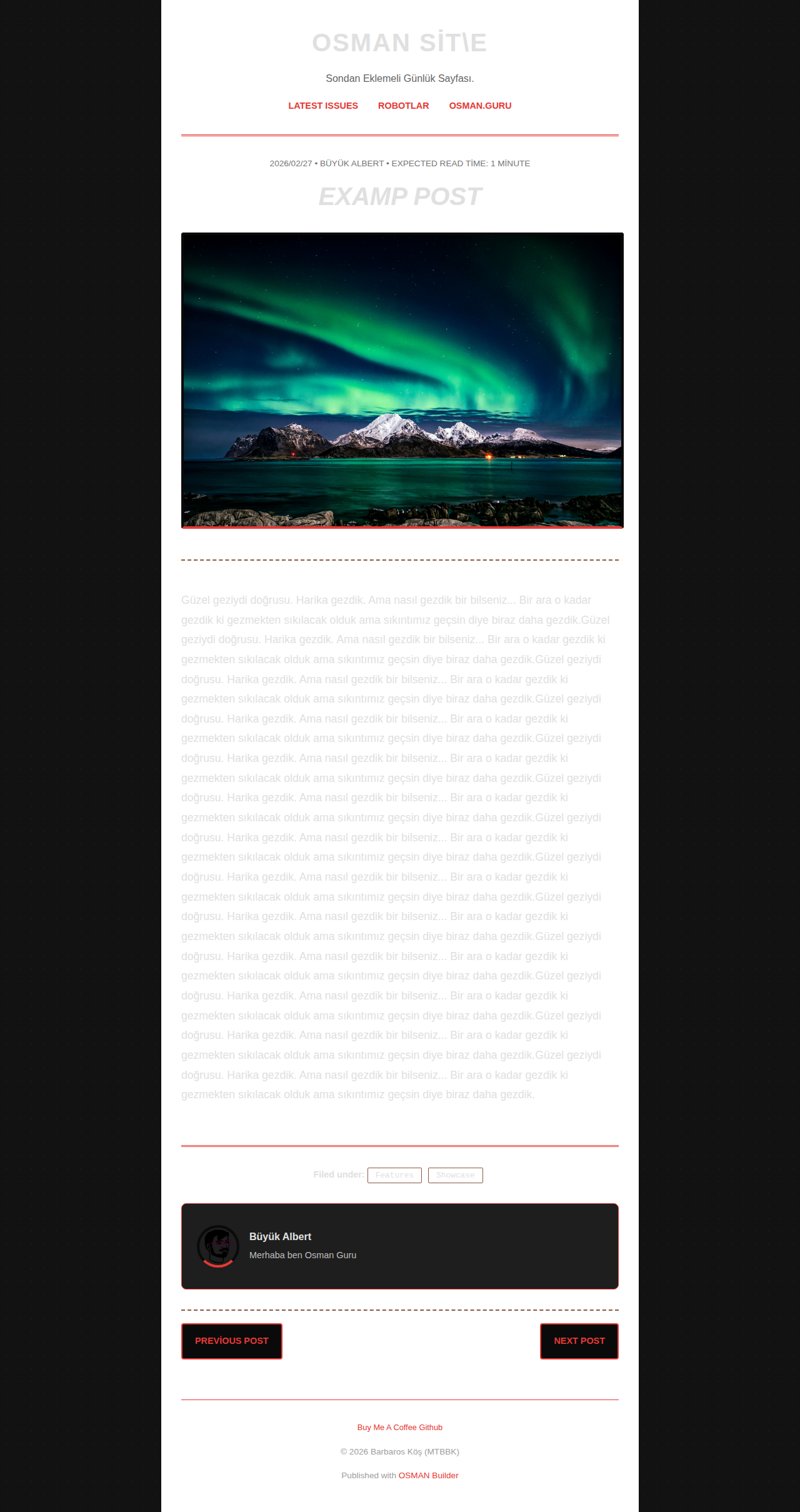 Post Page - newsletter Arabalar