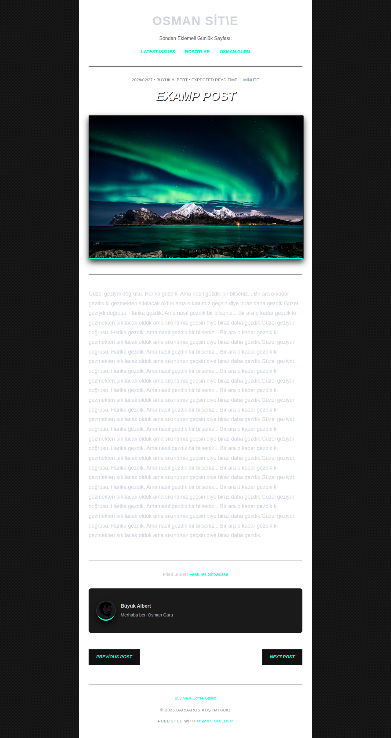 Post Page - newsletter Neon