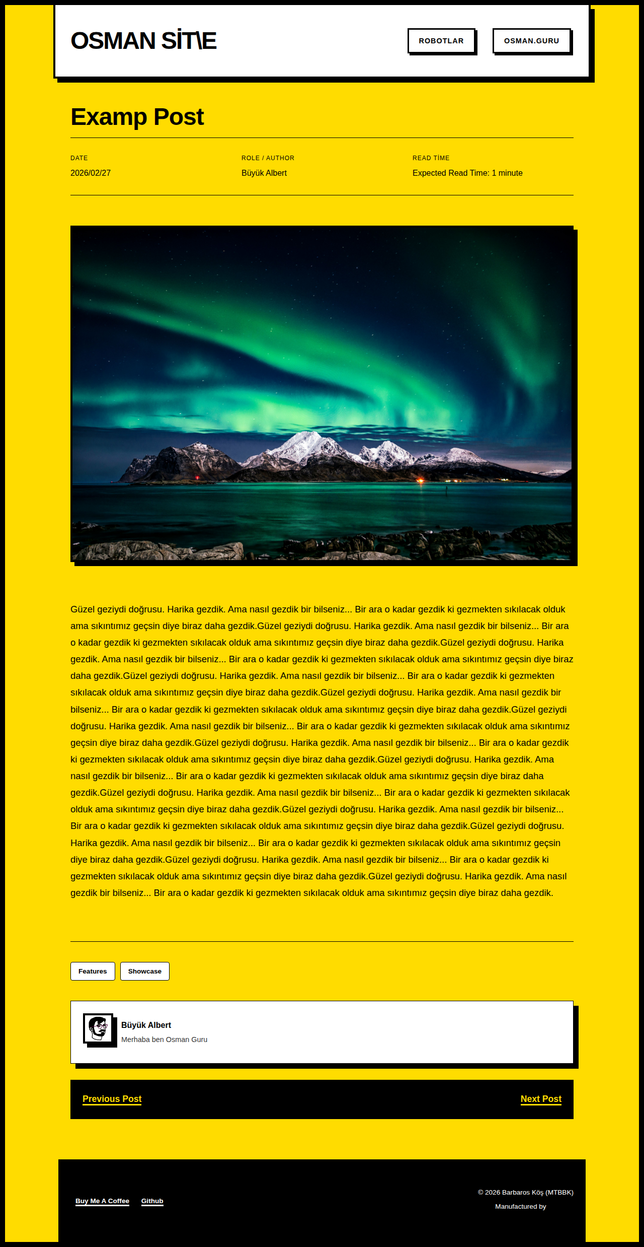 Post Page - portfolio Brutal