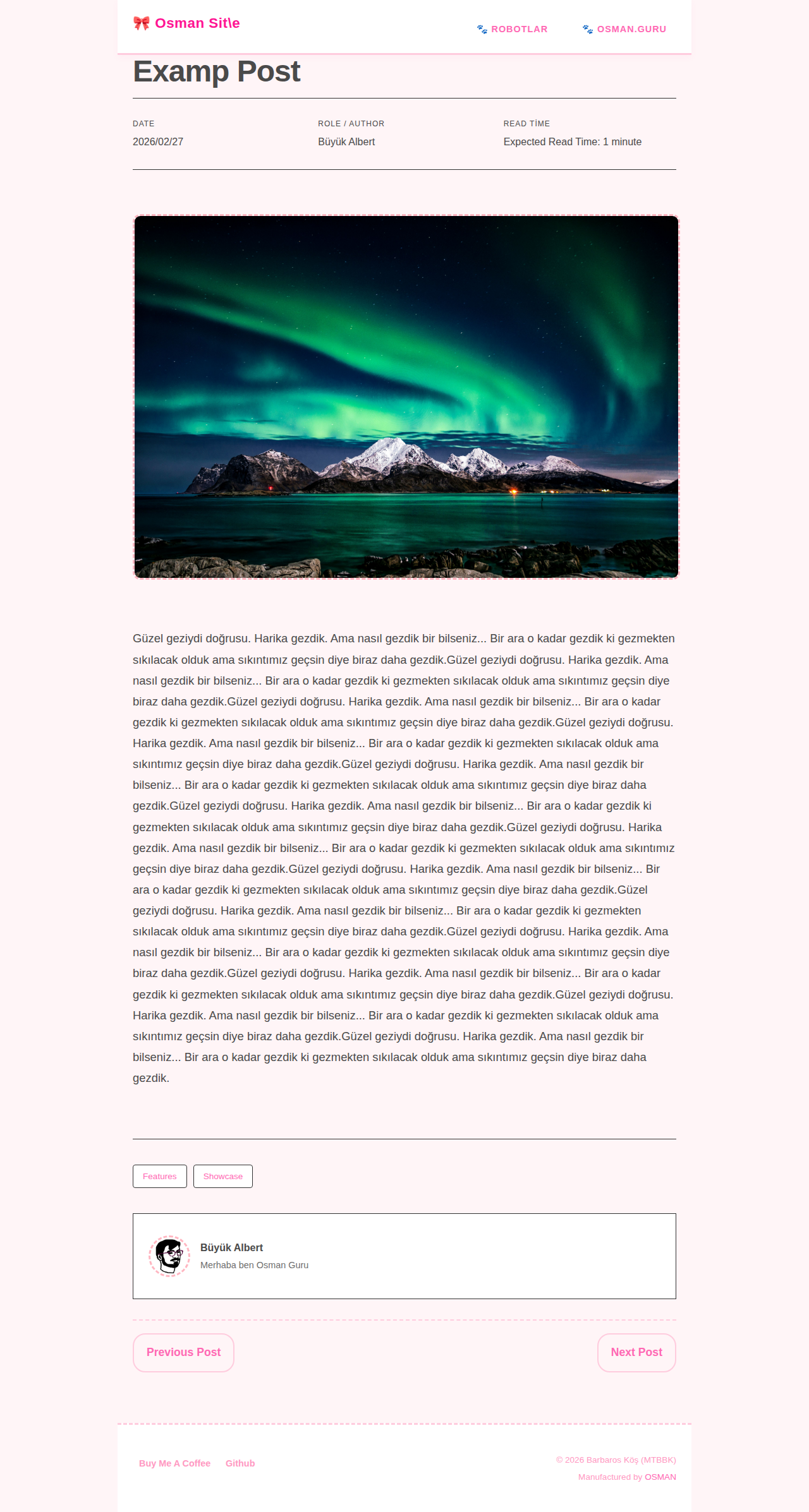 Post Page - portfolio MerhabaKedi