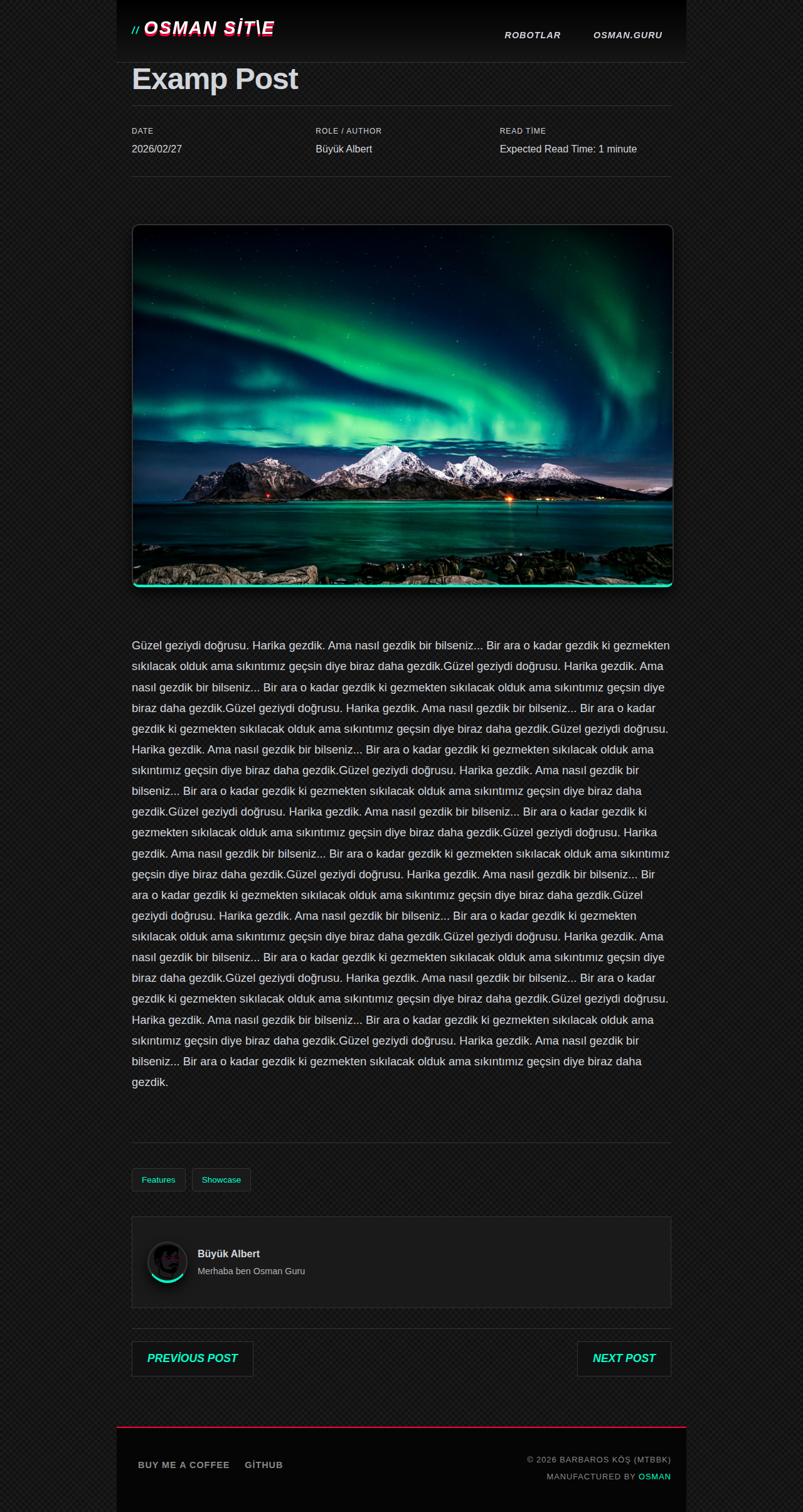 Post Page - portfolio Neon