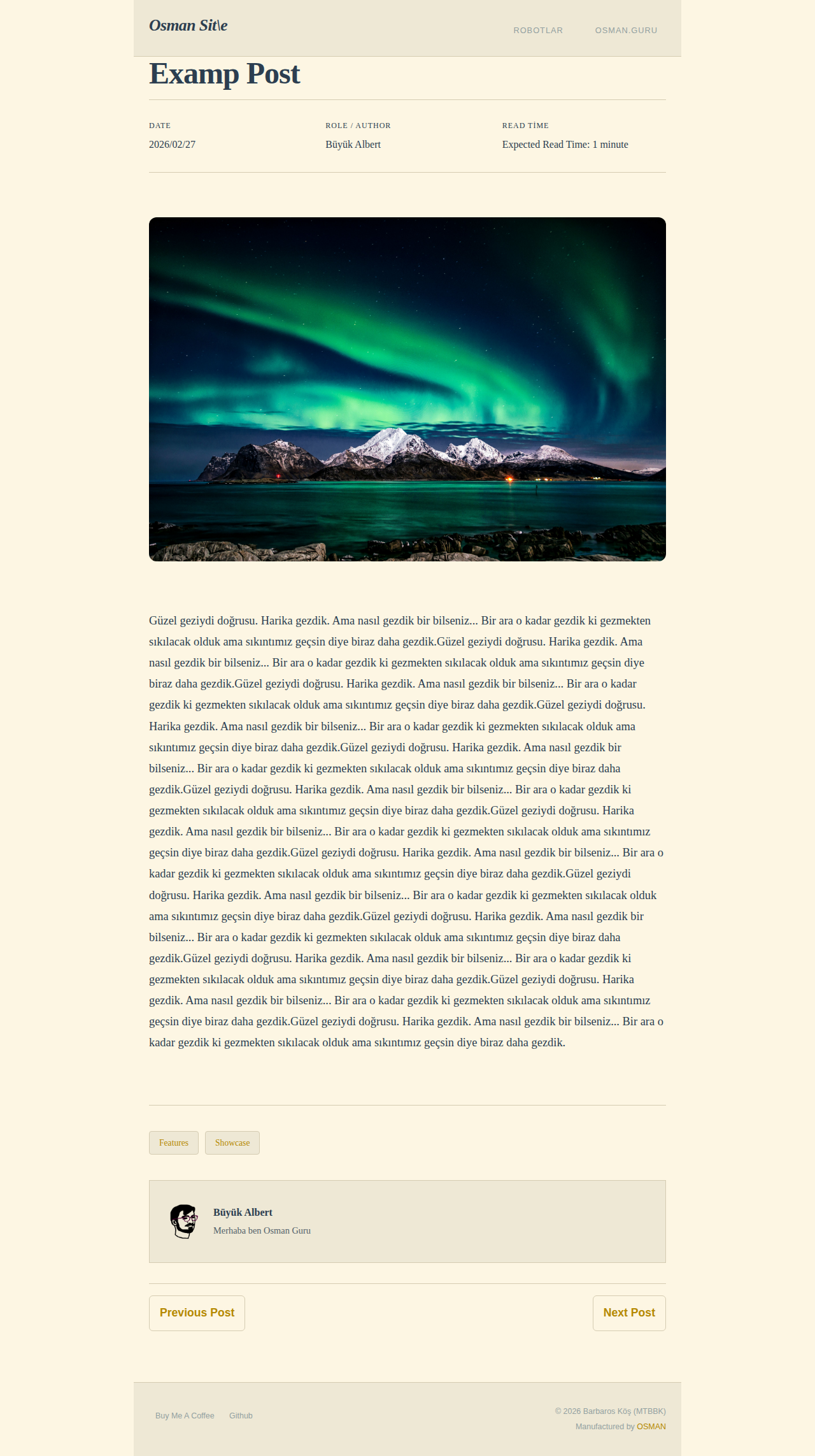 Post Page - portfolio OldSchool