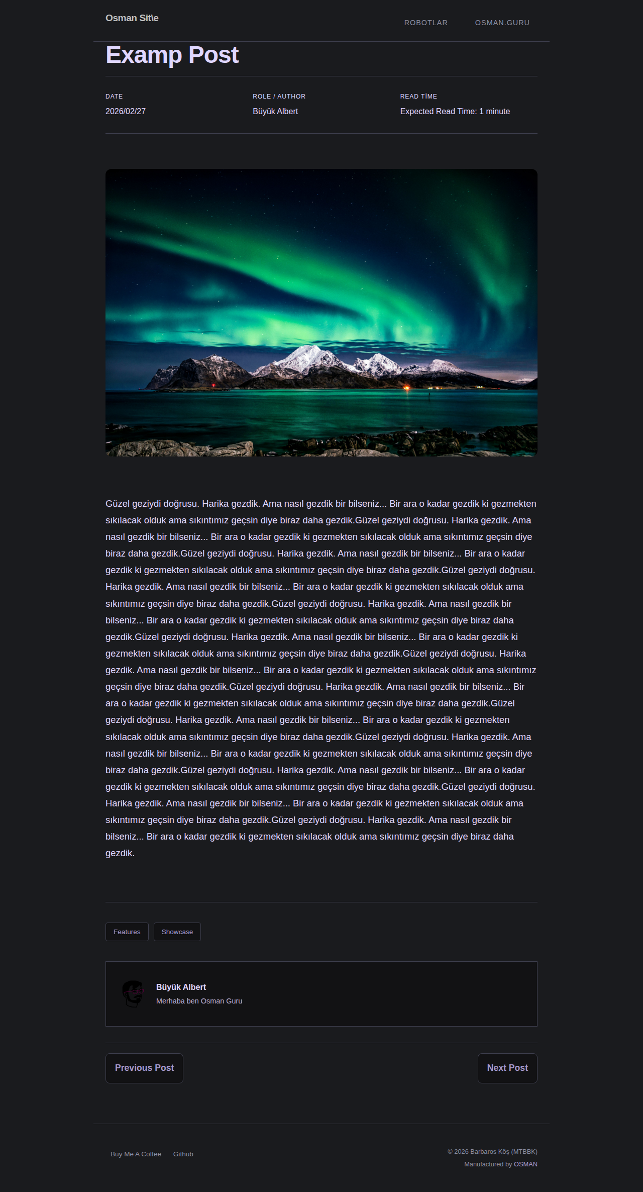 Post Page - portfolio SilverLilac