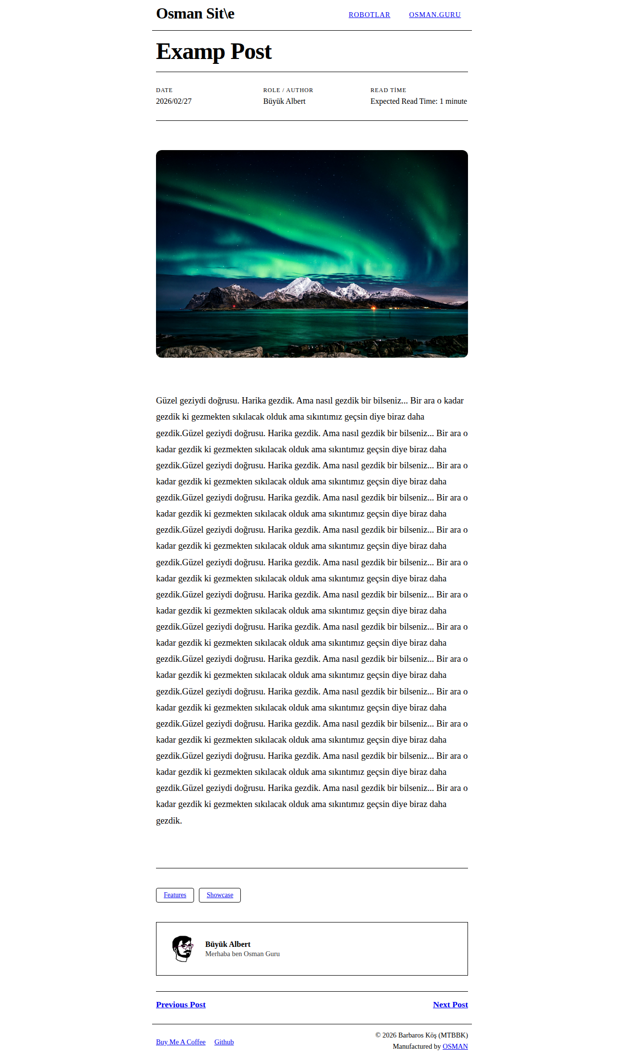 Post Page - portfolio Web1991