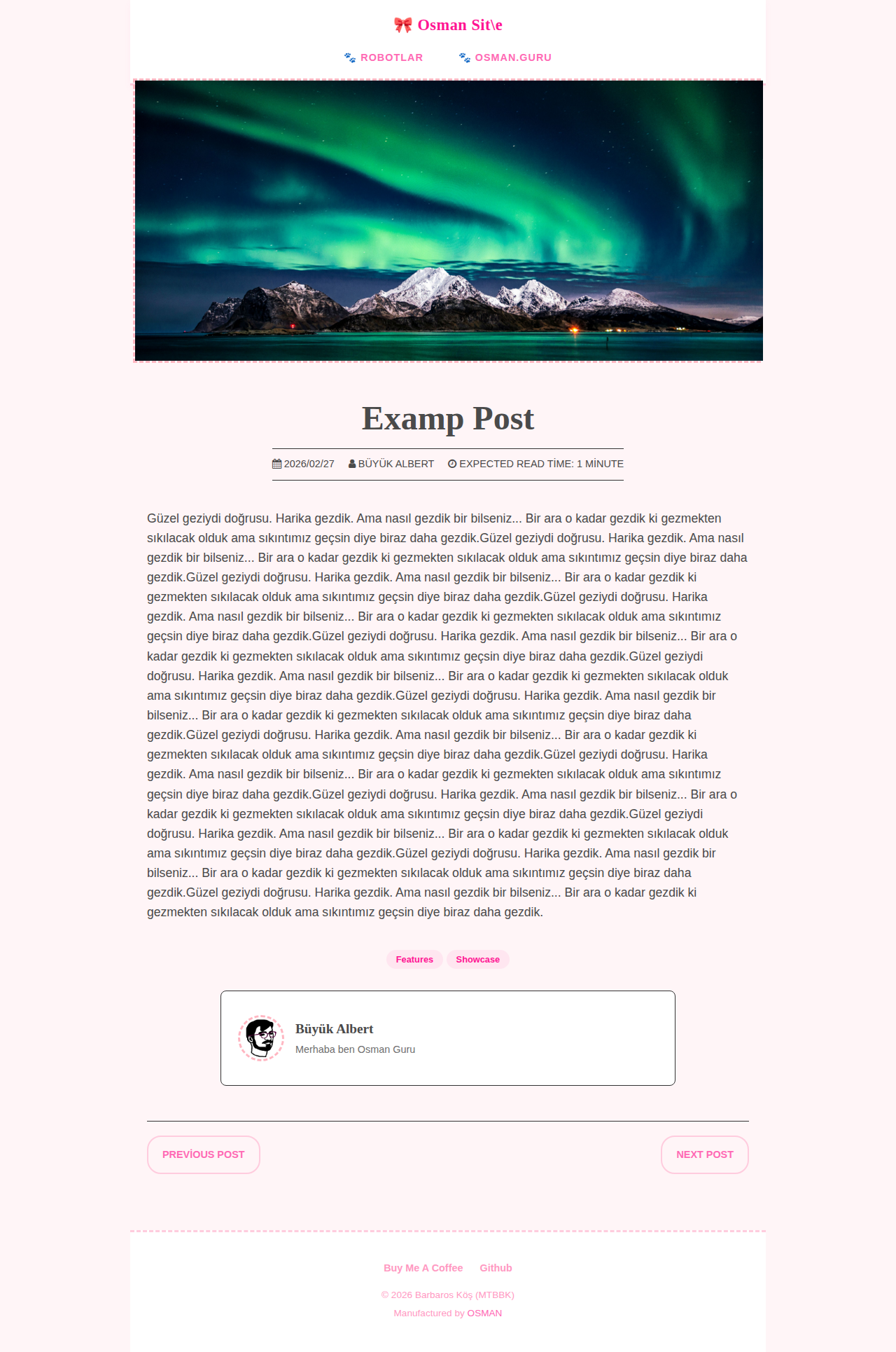 Post Page - recipe MerhabaKedi